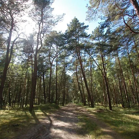 M&k - Morska Przystan *