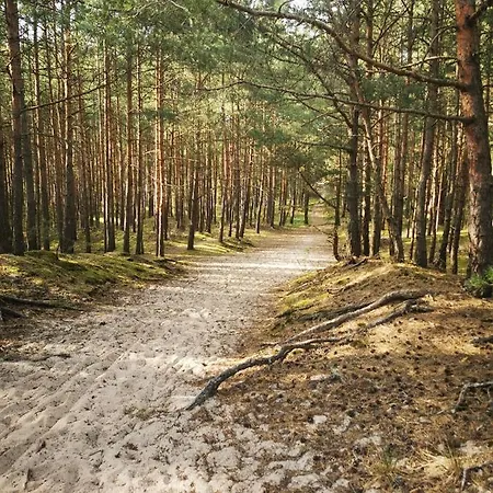 M&k - Morska Przystań *