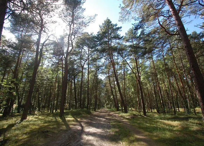 M&k - Morska Przystan *