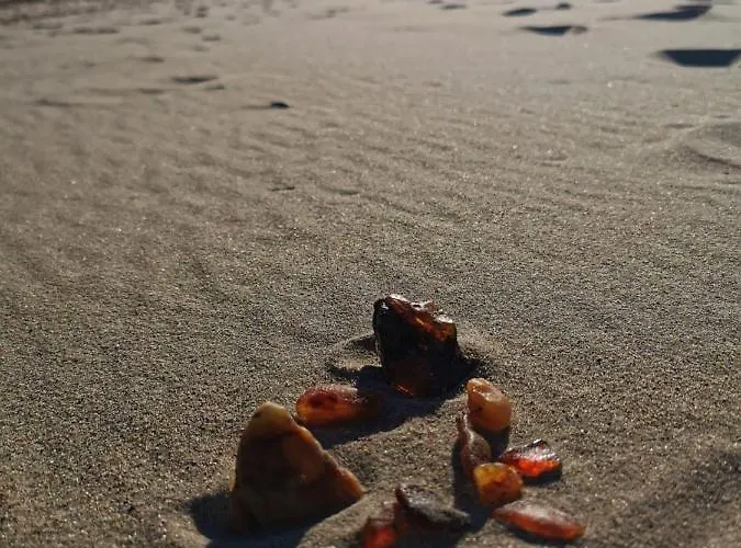 M&k - Morska Przystan Gdańsk