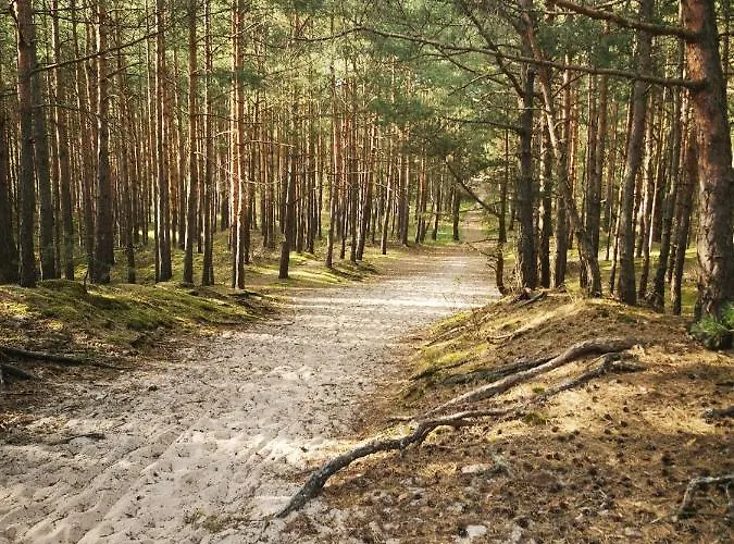 M&k - Morska Przystan *