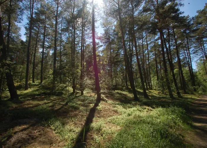 M&k - Morska Przystan Appartement *